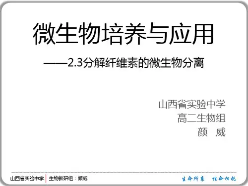 2.1.4分解纤维素的分离