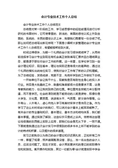 会计专业技术工作个人总结范文