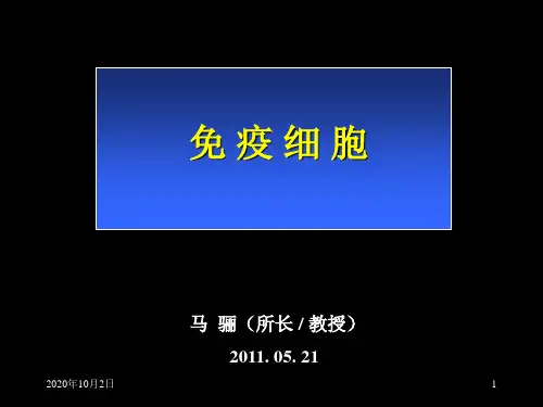 免疫细胞ppt-医学免疫学PPT课件