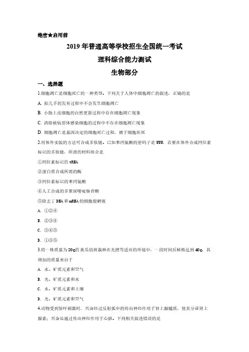 2019年广东高考生物(原卷版)