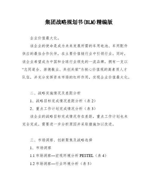 集团战略规划书(BLM)精编版