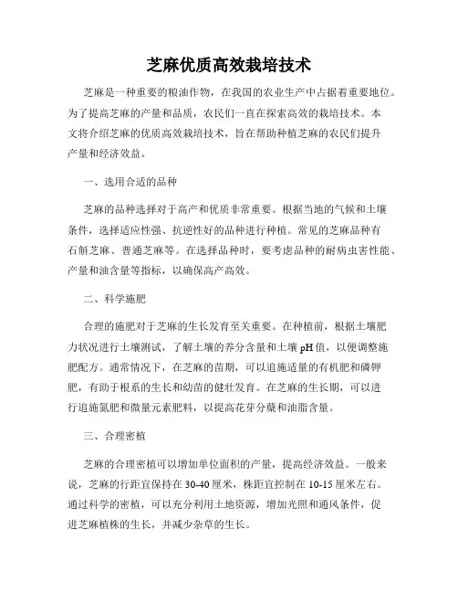 芝麻优质高效栽培技术