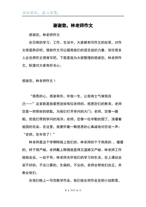 谢谢您,林老师作文