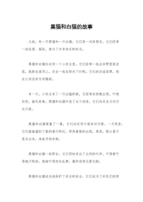 黑猫和白猫的故事