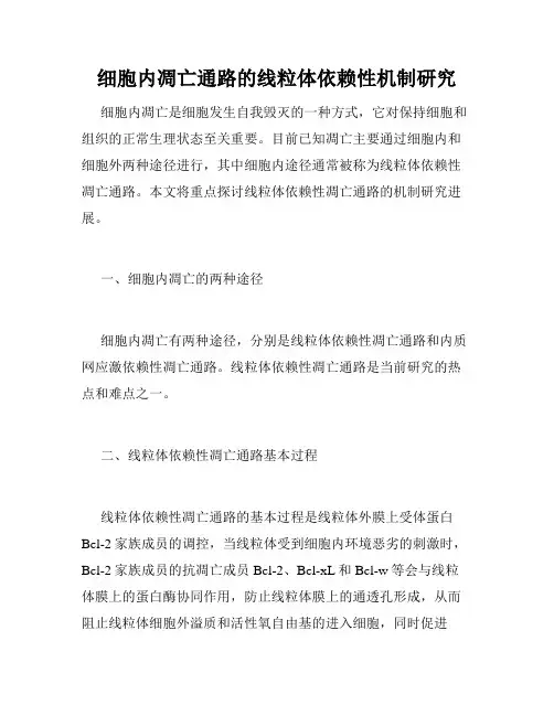 细胞内凋亡通路的线粒体依赖性机制研究