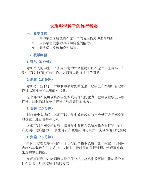 大班科学种子的旅行教案【含教学反思】