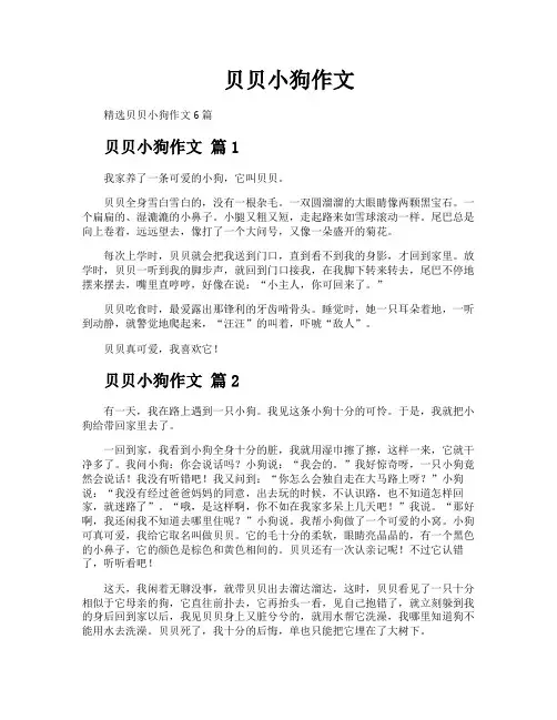 贝贝小狗作文