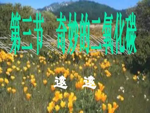 九年级化学奇妙的二氧化碳1