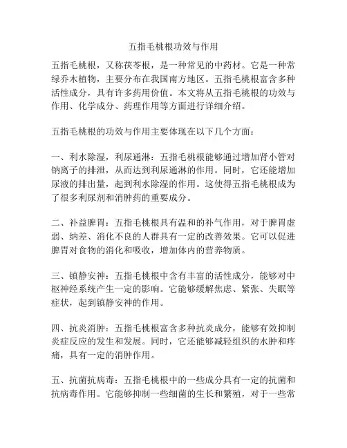 五指毛桃根功效与作用