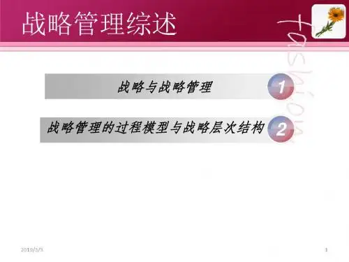 战略管理综述ppt课件