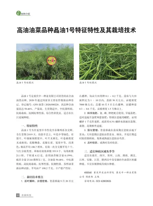 高油油菜品种晶油1_号特征特性及其栽培技术
