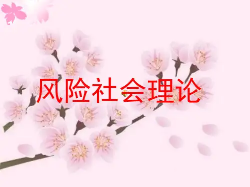 风险社会理论