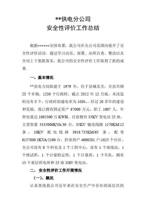 安全性评价总结(报告)
