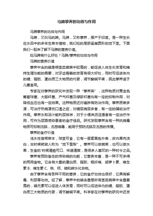 马蹄荸荠的功效与作用