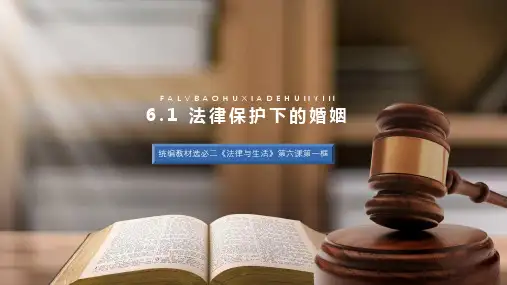 法律保护下的婚姻-高二政治课件(统编版选择性必修2)