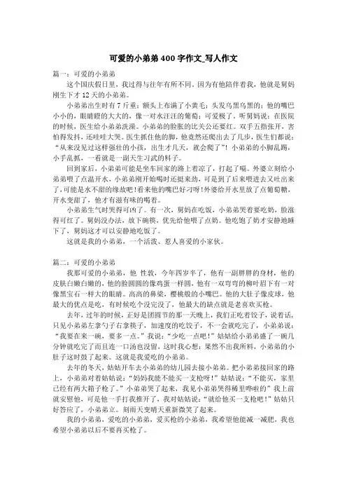 可爱的小弟弟400字作文_写人作文