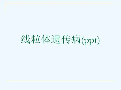 线粒体遗传病(ppt)