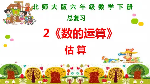 29 估算