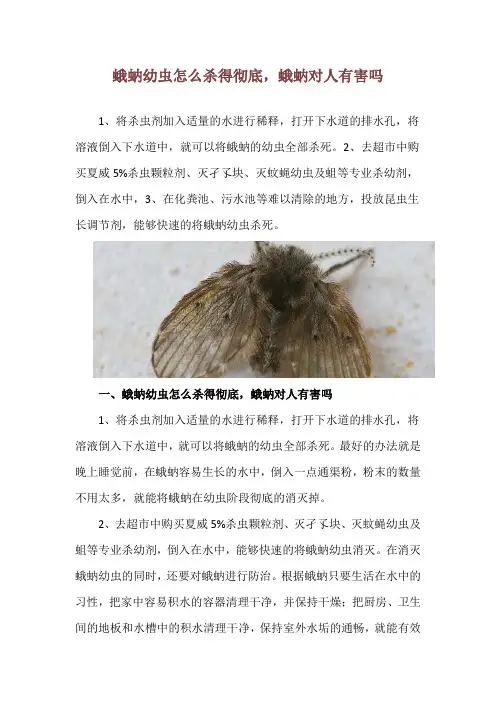 蛾蚋幼虫怎么杀得彻底,蛾蚋对人有害吗