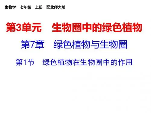 北师大版七年级生物上册课件：第7章 第1节 绿色植物在生物圈中的作用