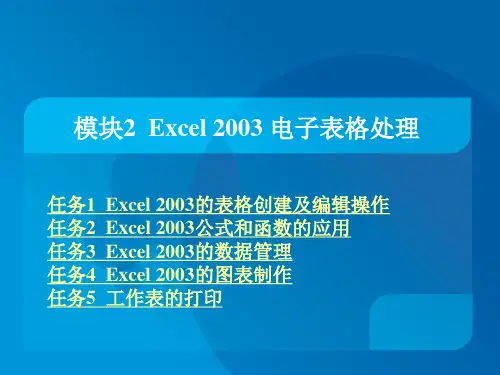 Excel 2003 电子表格处理