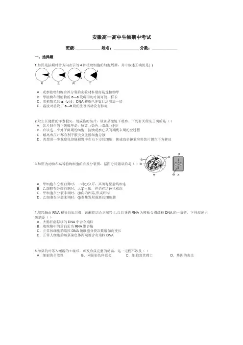 安徽高一高中生物期中考试带答案解析
