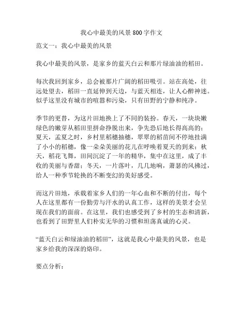 我心中最美的风景800字作文