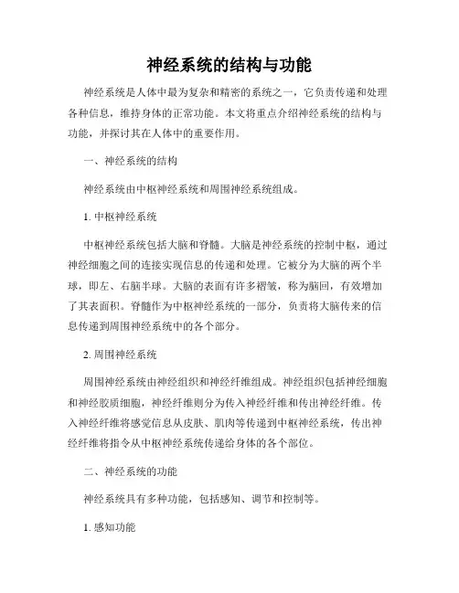 神经系统的结构与功能