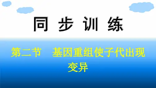 浙科版高中生物学必修2精品课件 第四章 生物的变异 第二节 基因重组使子代出现变异