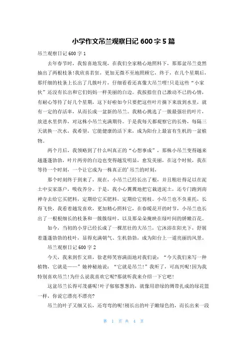 小学作文吊兰观察日记600字5篇