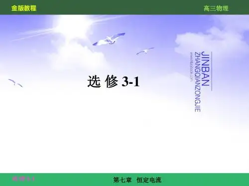 第七章 恒定电流  专题(新课标复习资料)