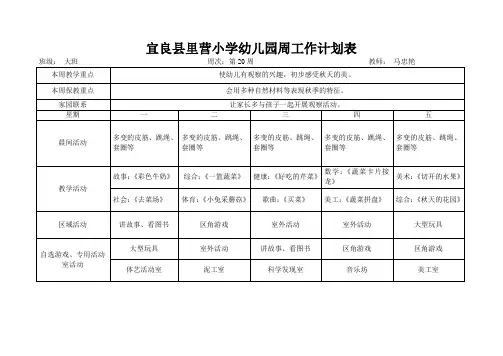大班幼儿园周工作计划表 - 副本