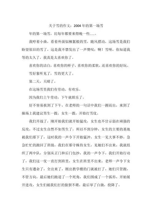 关于雪的作文：2004年的第一场雪-作文