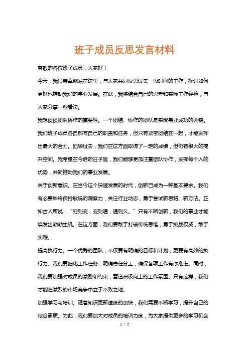 班子成员反思发言材料