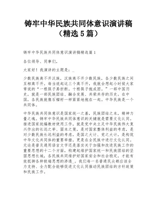 铸牢中华民族共同体意识演讲稿(精选5篇)