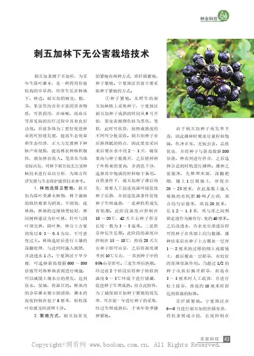 刺五加林下无公害栽培技术