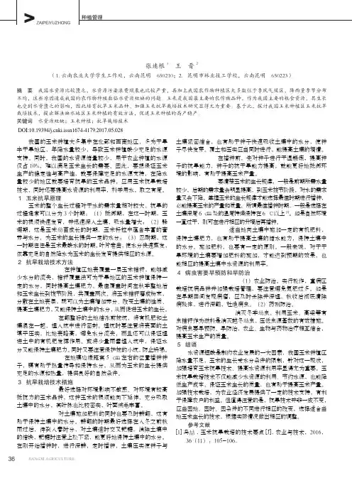 玉米抗旱栽培技术