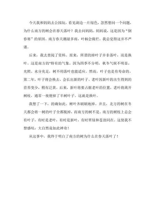 春天落叶的作文初中