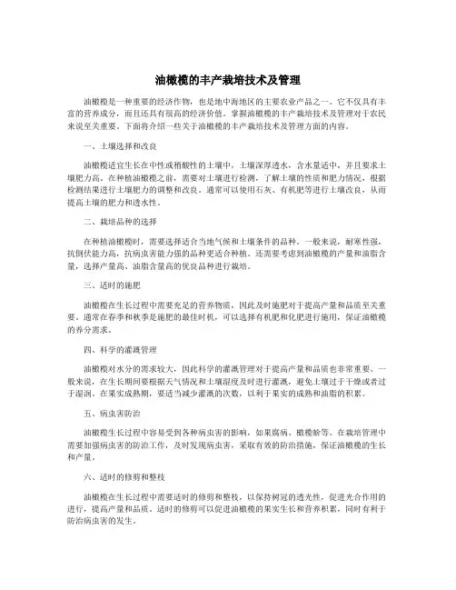 油橄榄的丰产栽培技术及管理