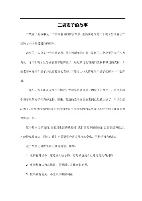 三袋麦子的故事