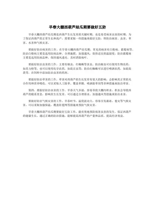 早春大棚西葫芦结瓜期要做好五防