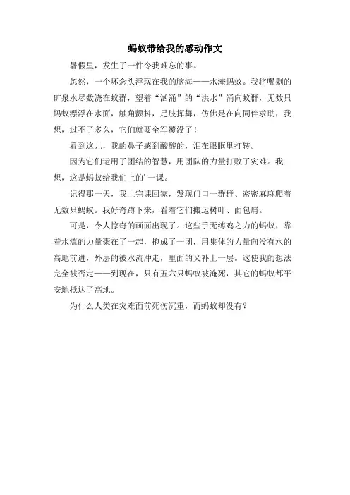 蚂蚁带给我的感动作文
