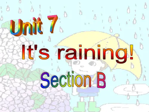 人教 七年级下册 Unit7 SectionB  2b 课件(共27张PPT)
