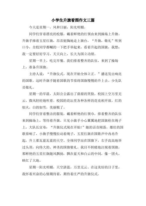 小学生升旗看图作文三篇