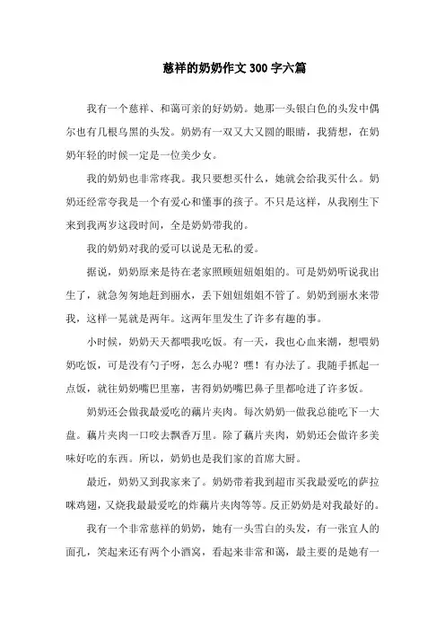 中小学慈祥的奶奶作文300字六篇