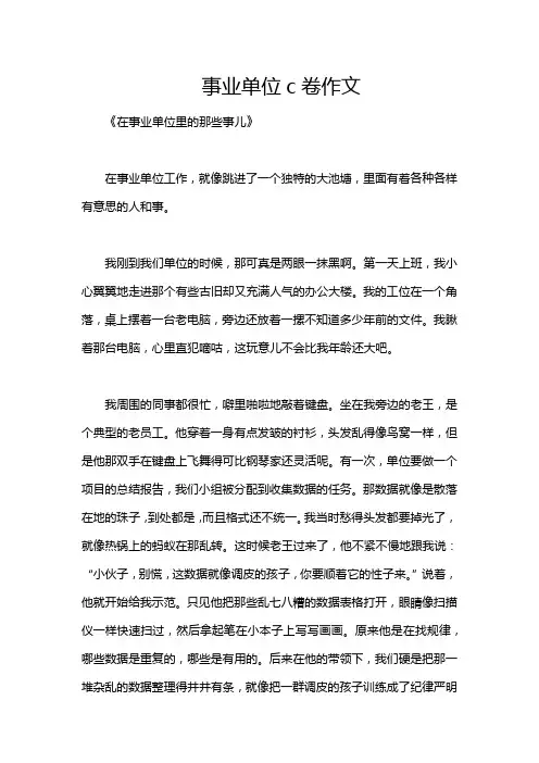事业单位c卷作文