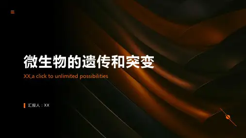 微生物的遗传和突变