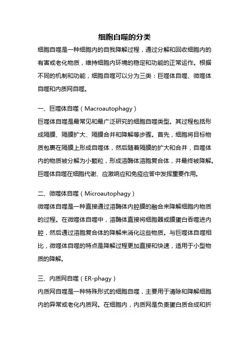 细胞自噬的分类