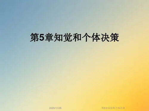 第5章知觉和个体决策