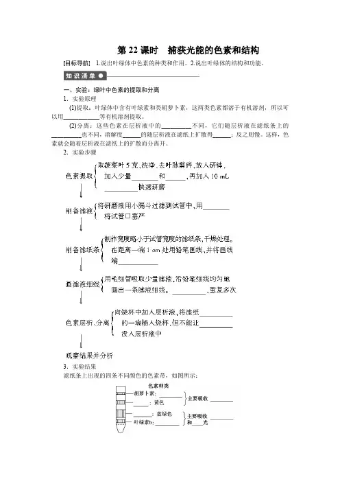 生物人教版必修1对点训练：5.4.1 捕获光能的色素和结构 Word版含解析
